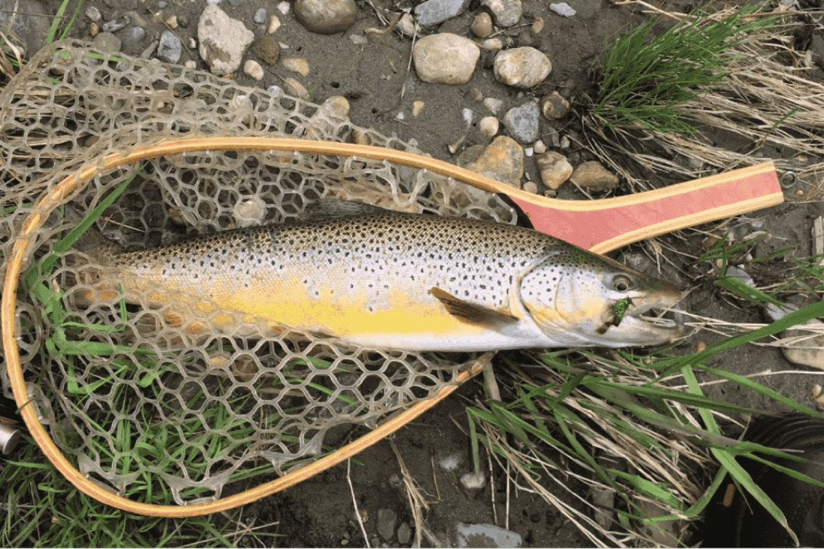 fishing