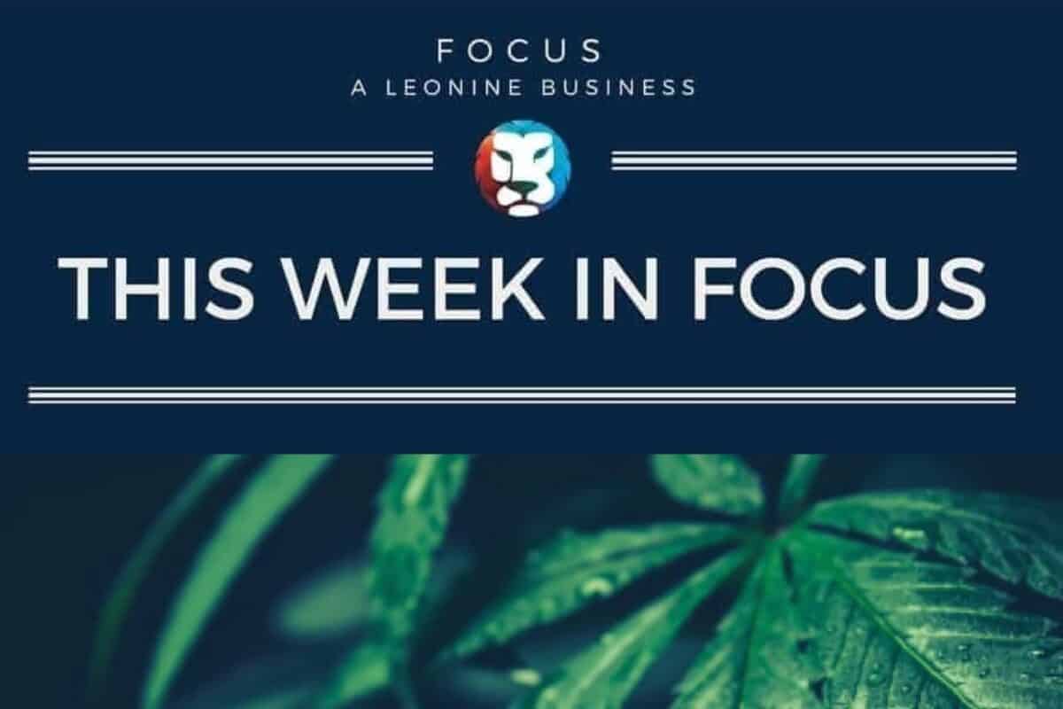 This Week in FOCUS header 5